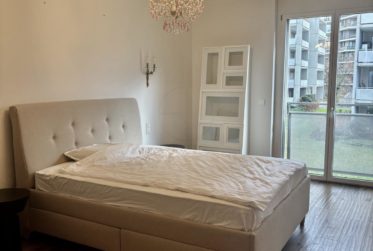 Bel appartement à Cologny