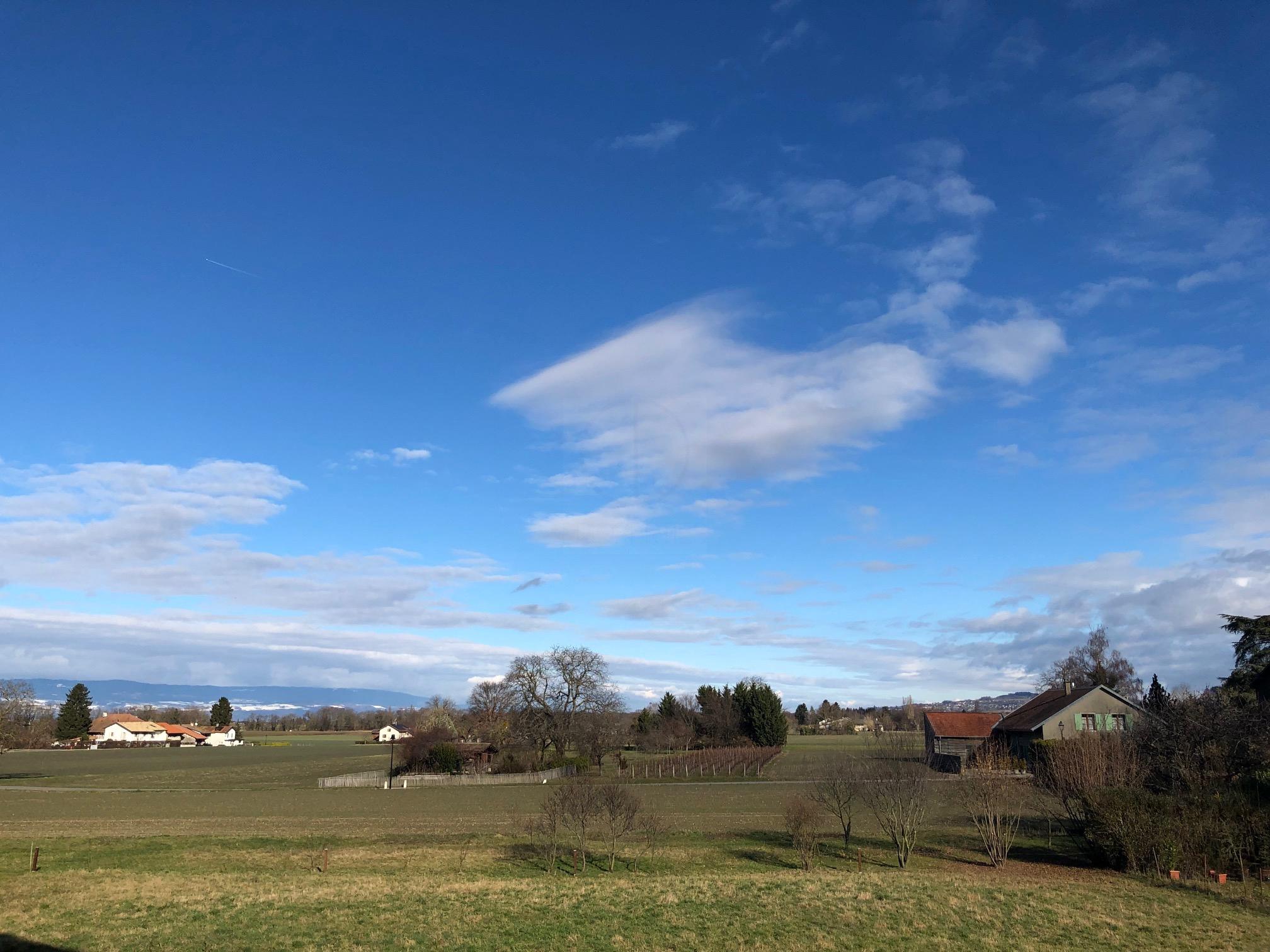 4 Rooms Flat, Terrace flat