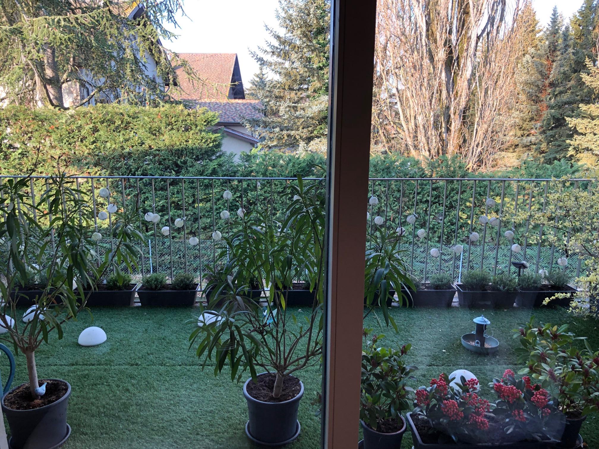 4 Rooms Flat, Terrace flat